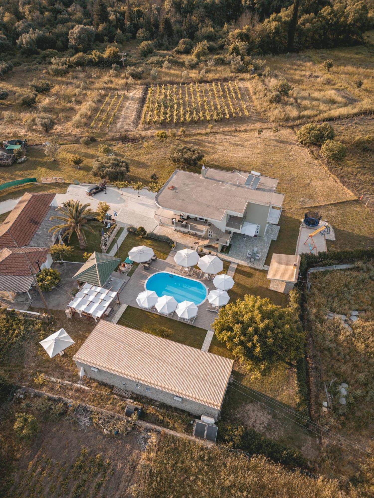 Tsanis Estate Aparthotel Parga Bagian luar foto